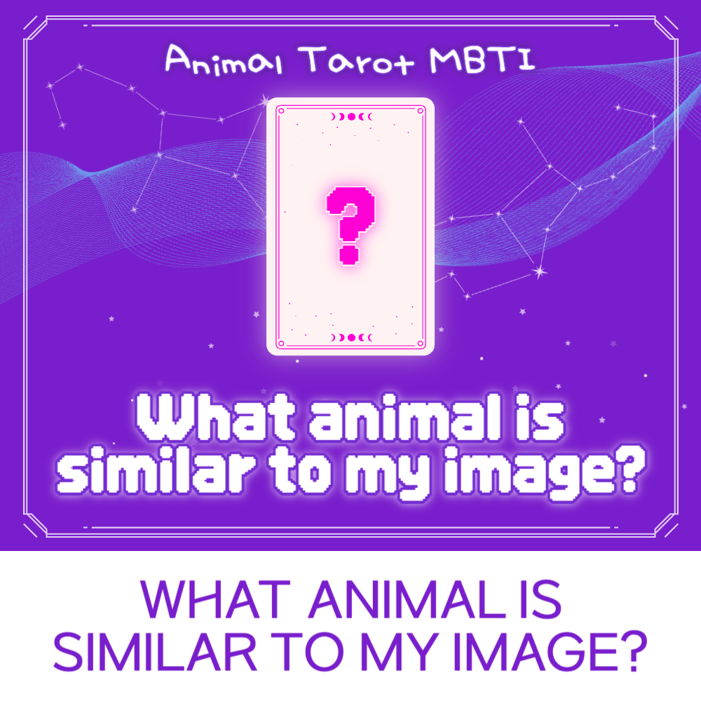 Animal Tarot MBTI