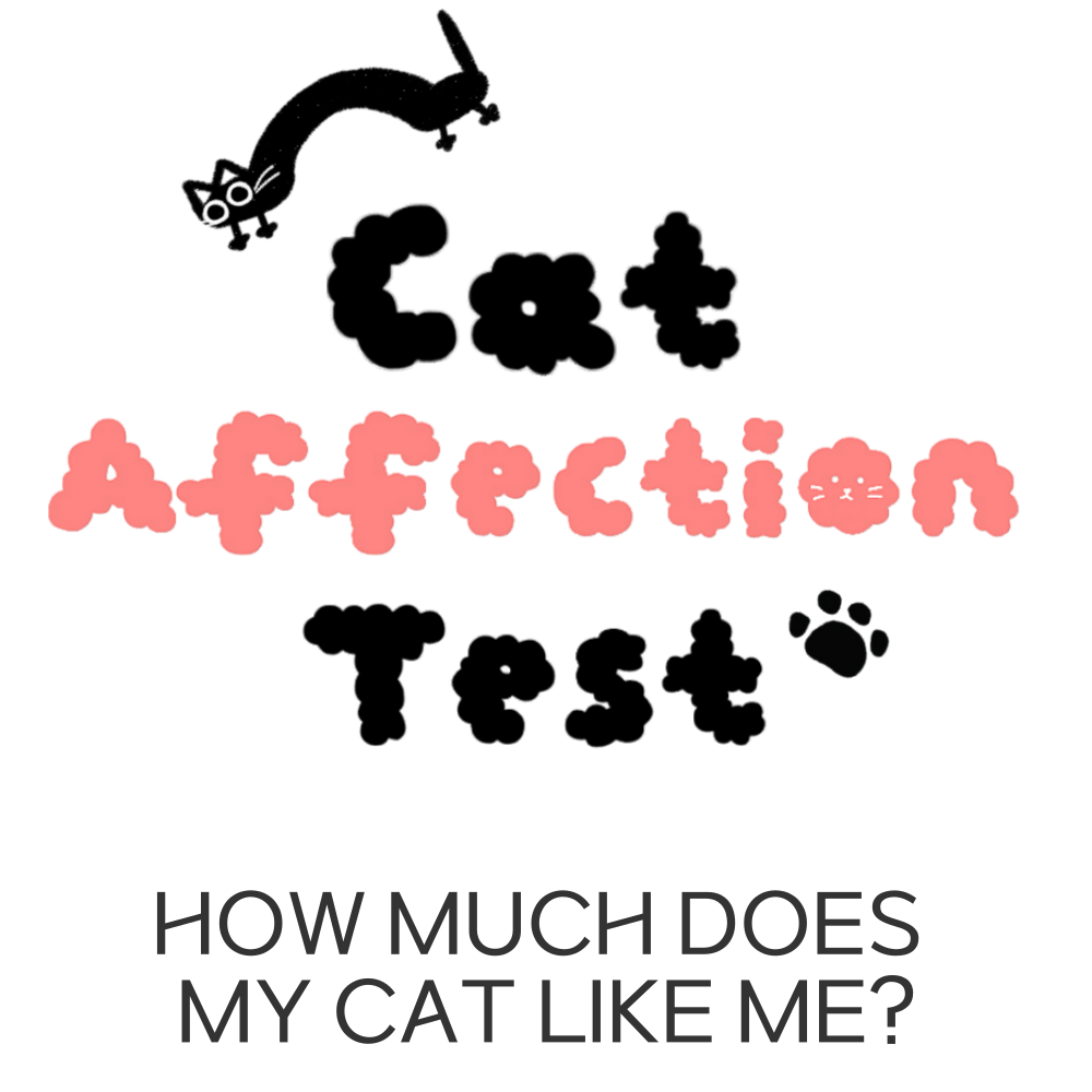 Cat Affection Test